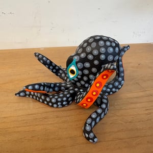 Image of Black beauty 