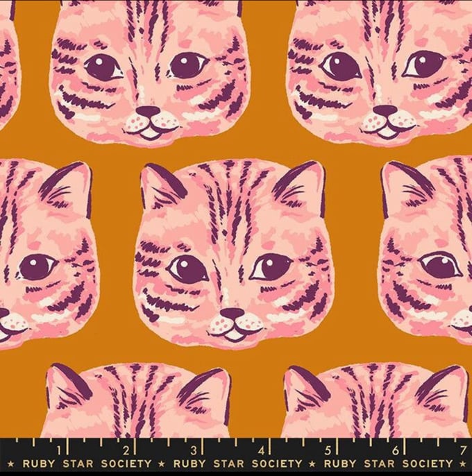 Image of Reading Nook canvas Meow Orange 
