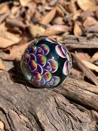 Image 11 of Amber Purple Jungle