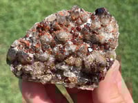 Image 6 of Smoky Quartz & Garnet Cluster On Feldspar Matrix #2484