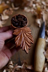 Image 9 of Maple Leaf Coffee  Scoop