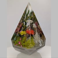 Image 2 of Four Seasons<br>80mm D4 Chonk