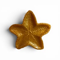 Image 8 of Starfish Trinket Dishes