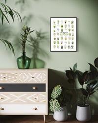 Image 2 of LOS ANGELES — MATCHA