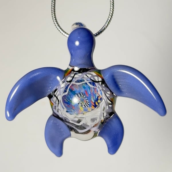 Image of Peacock Turtle Hatchling