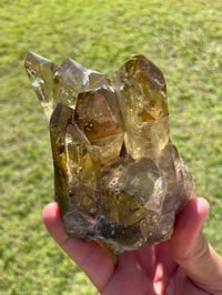 Image 12 of Smoky Citrine Points Cluster #1877
