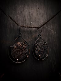 Image 3 of rose windows