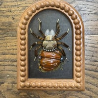 Image 4 of Pumpkin spider (c, 5x6 inches)