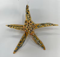 Image 1 of Starfish