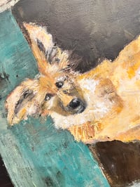 Image 2 of Learning to proceed with uncertainty- Shanny Brooke