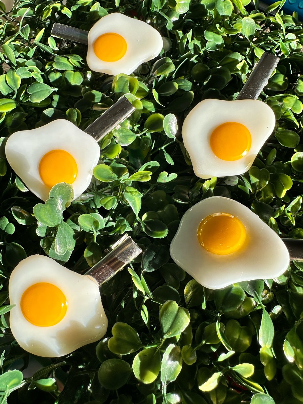 Image of egg clip