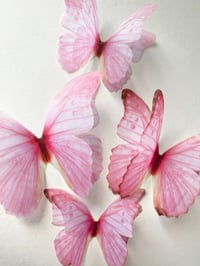 Image 3 of Cherry pink (set of 4)