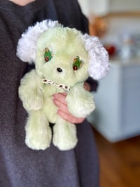 Image 1 of Acorn Puppy