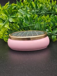 Image 2 of Oval pink Vintage ornate decorative pot with  Real Preserved Web 