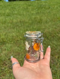 Image 1 of Sunnie