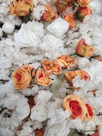 Image 3 of 220 white and orange flower runners for rent only 