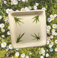 Palm Plate Square