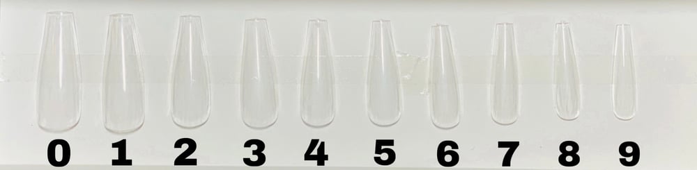 Image of Sizing kit