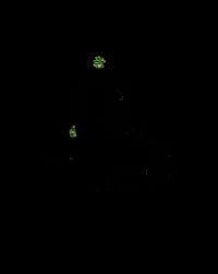 Image 3 of Green Goblin 