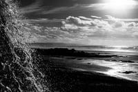 Image 1 of Fresh & Salt