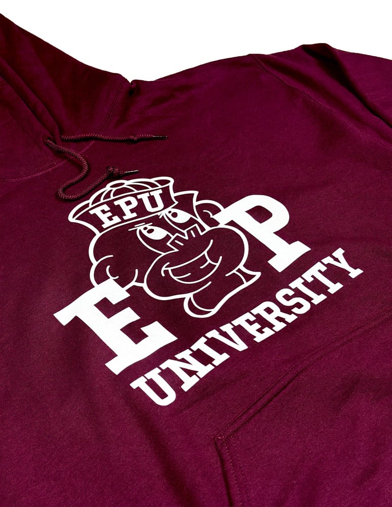 Image of Enigma Project University Hoodie.
