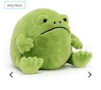 Ricky Rain Frog medium 