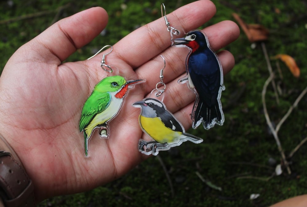 Birds of Puerto Rico • Acrylic Earrings • San Pedrito Earrings • Bananaquit Earrings 