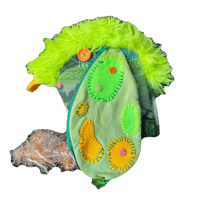 Image 2 of green apple bug