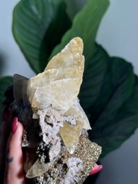 Image 5 of XXL SWEETWATER CALCITE WITH PYRITE -MISSOURI- PORCUPINE POCKET 2025 B