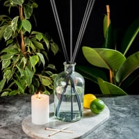 Image 1 of Large Reed Diffuser 