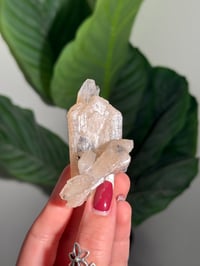 Image 3 of BOWTIE STILBITE X DIAMOND APOPHYLITE -INDIA- C