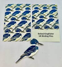 Image 1 of Belted Kingfisher - Large - Pin Badge/Brooch/Magnet