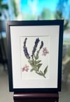 Genuine Veronica And Hydrangea Bloom Wildflower Art In 8" X 10" Frame (Item# 2021078)
