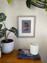 Image 2 of Framed Original Monarch butterfly prisms pencil art. 
