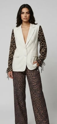 Image 1 of Leopard Print & Pinstripe Blazer