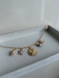 Shell Charm Necklace