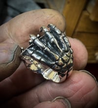 Image 7 of The Hand of the King