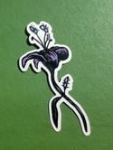 'Lily' Sticker