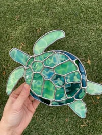 Image 3 of Turtle