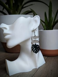 Image 1 of Monstera Muse Dangle