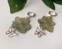 Image 2 of Sommerfugl - Hydrangea Dangles 