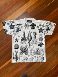 Image 1 of Sea Creatures T-shirt