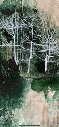 Image 1 of Inky Birch Trees Giclée Print