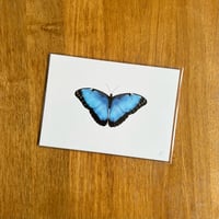 Image 2 of Butterfly Print #3 - Various Designs