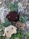 Plant Dolls