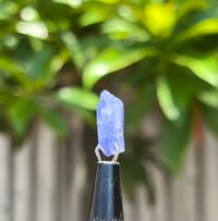 Image 8 of Tanzanite Specimen #2431