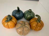 Image 3 of Pwmpenni unigol - single Pumpkins
