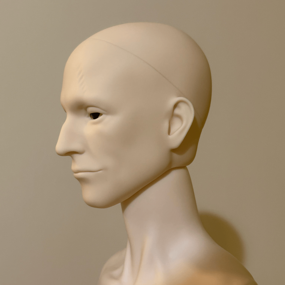 BJD head— “Jed”