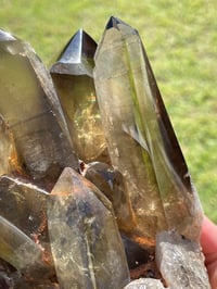 Image 11 of Smoky Citrine Points Cluster #1876