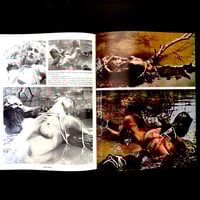 Image 17 of CAPTURED Vol2 #2